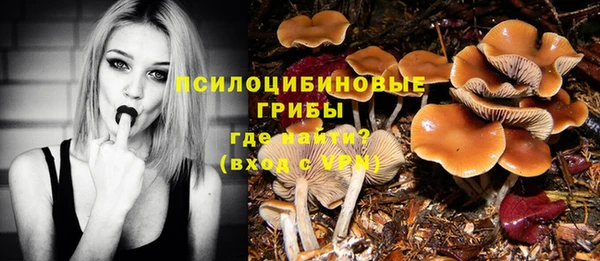 кокаин Богданович