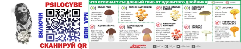 блэк спрут зеркало  Иноземцево  Псилоцибиновые грибы мицелий 